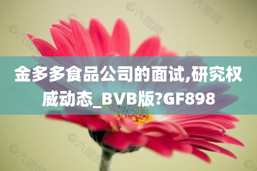 金多多食品公司的面试,研究权威动态_BVB版?GF898