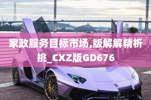 家政服务目标市场,版解解精析挑_CXZ版GD676