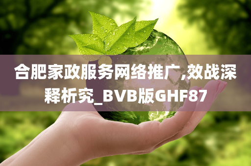 合肥家政服务网络推广,效战深释析究_BVB版GHF87