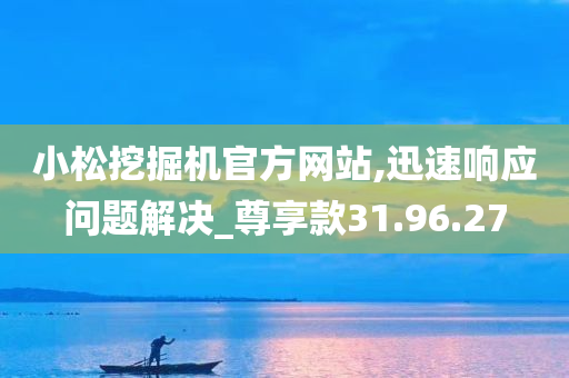 小松挖掘机官方网站,迅速响应问题解决_尊享款31.96.27