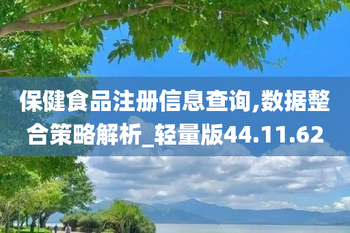 保健食品注册信息查询,数据整合策略解析_轻量版44.11.62