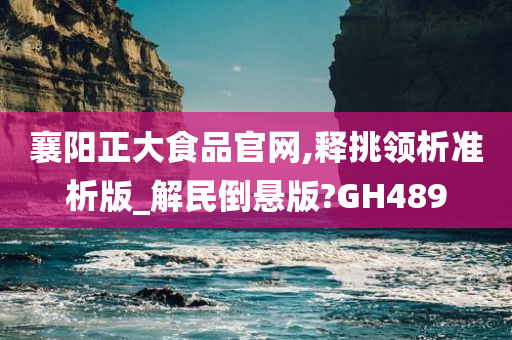 襄阳正大食品官网,释挑领析准析版_解民倒悬版?GH489