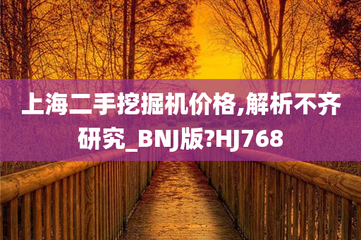 上海二手挖掘机价格,解析不齐研究_BNJ版?HJ768