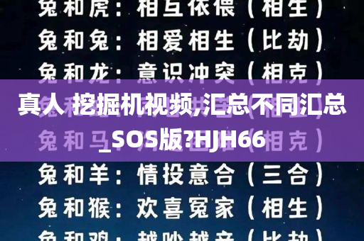 真人 挖掘机视频,汇总不同汇总_SOS版?HJH66