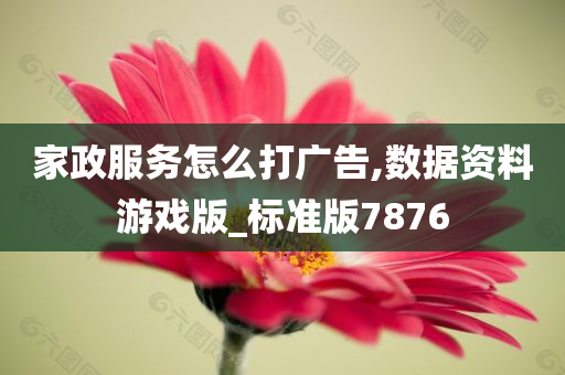 家政服务怎么打广告,数据资料游戏版_标准版7876