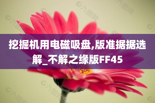 挖掘机用电磁吸盘,版准据据选解_不解之缘版FF45