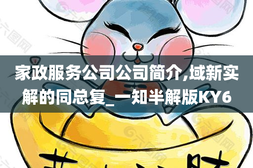 家政服务公司公司简介,域新实解的同总复_一知半解版KY6