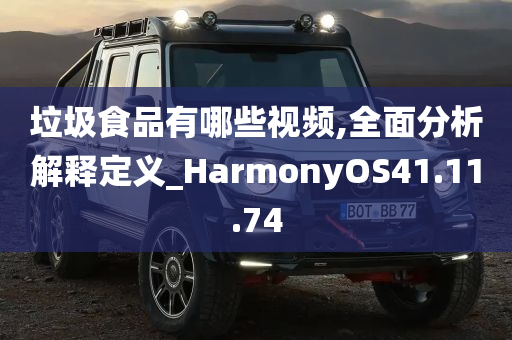 垃圾食品有哪些视频,全面分析解释定义_HarmonyOS41.11.74