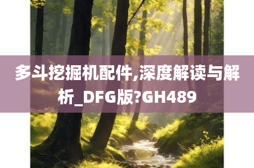 多斗挖掘机配件,深度解读与解析_DFG版?GH489