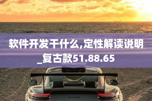 软件开发干什么,定性解读说明_复古款51.88.65