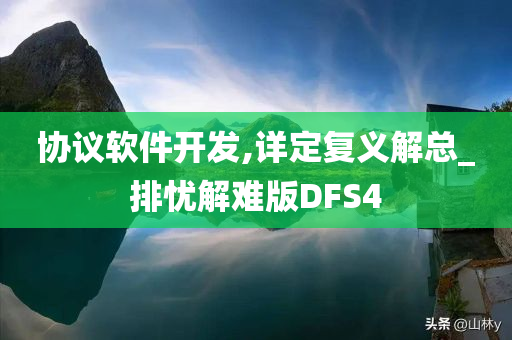 协议软件开发,详定复义解总_排忧解难版DFS4