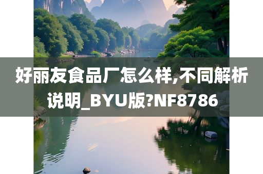 好丽友食品厂怎么样,不同解析说明_BYU版?NF8786