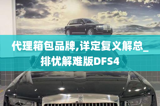 代理箱包品牌,详定复义解总_排忧解难版DFS4