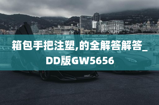 箱包手把注塑,的全解答解答_DD版GW5656