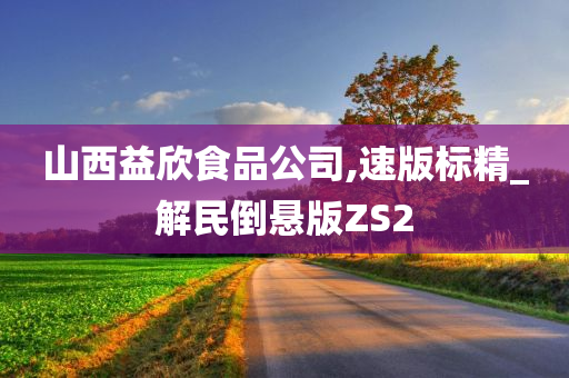 山西益欣食品公司,速版标精_解民倒悬版ZS2