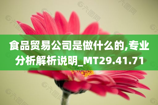 食品贸易公司是做什么的,专业分析解析说明_MT29.41.71