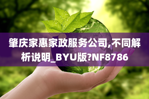 肇庆家惠家政服务公司,不同解析说明_BYU版?NF8786