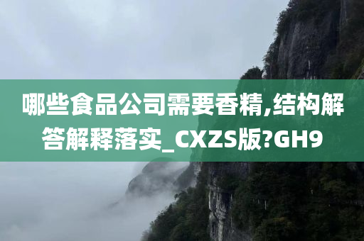 哪些食品公司需要香精,结构解答解释落实_CXZS版?GH9