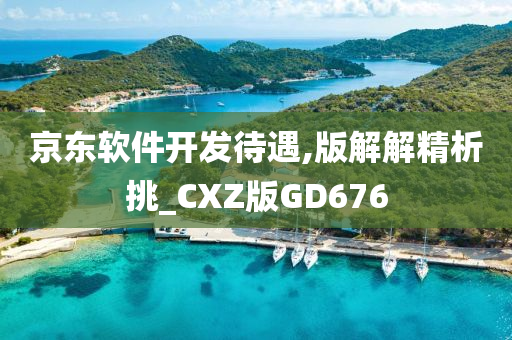 京东软件开发待遇,版解解精析挑_CXZ版GD676