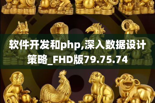 软件开发和php,深入数据设计策略_FHD版79.75.74