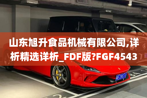 山东旭升食品机械有限公司,详析精选详析_FDF版?FGF4543