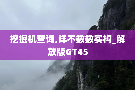 挖掘机查询,详不数数实构_解放版GT45