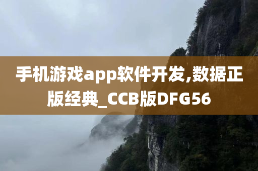 手机游戏app软件开发,数据正版经典_CCB版DFG56