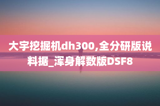 大宇挖掘机dh300,全分研版说料据_浑身解数版DSF8