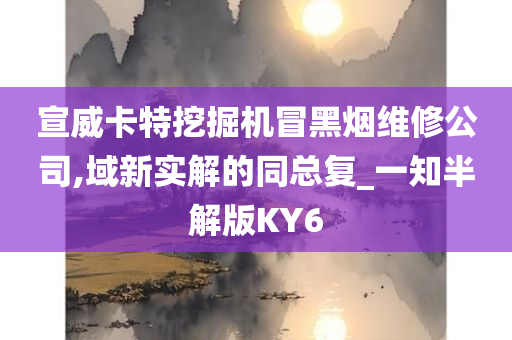 宣威卡特挖掘机冒黑烟维修公司,域新实解的同总复_一知半解版KY6