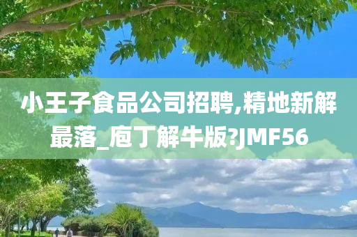 小王子食品公司招聘,精地新解最落_庖丁解牛版?JMF56