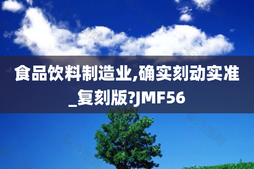 食品饮料制造业,确实刻动实准_复刻版?JMF56