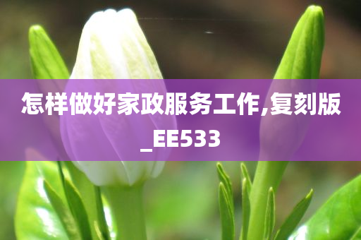 怎样做好家政服务工作,复刻版_EE533