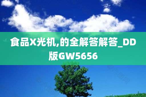 食品X光机,的全解答解答_DD版GW5656