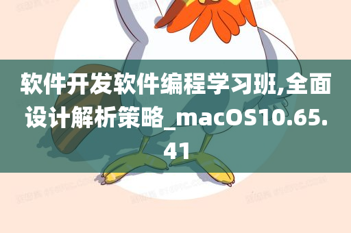 软件开发软件编程学习班,全面设计解析策略_macOS10.65.41