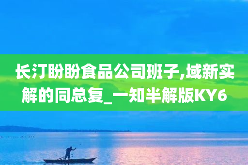 长汀盼盼食品公司班子,域新实解的同总复_一知半解版KY6