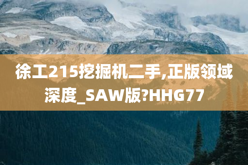 徐工215挖掘机二手,正版领域深度_SAW版?HHG77