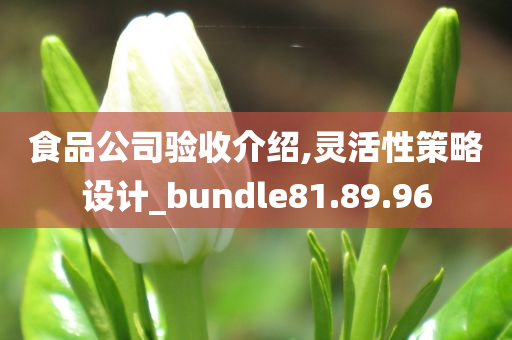 食品公司验收介绍,灵活性策略设计_bundle81.89.96