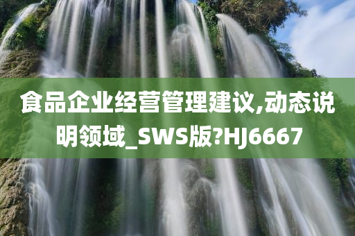 食品企业经营管理建议,动态说明领域_SWS版?HJ6667