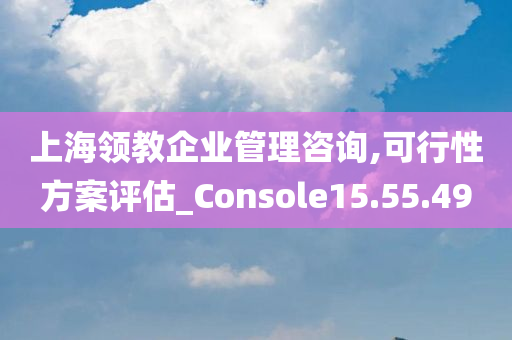 上海领教企业管理咨询,可行性方案评估_Console15.55.49