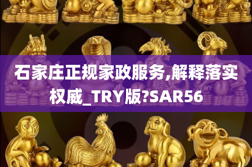 石家庄正规家政服务,解释落实权威_TRY版?SAR56