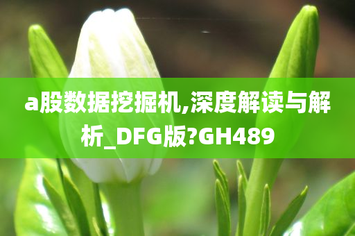 a股数据挖掘机,深度解读与解析_DFG版?GH489