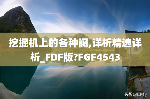 挖掘机上的各种阀,详析精选详析_FDF版?FGF4543