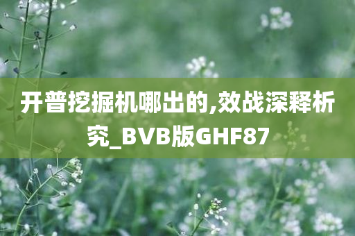 开普挖掘机哪出的,效战深释析究_BVB版GHF87