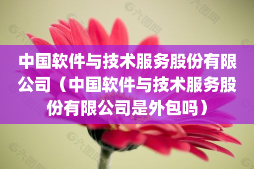 中国软件与技术服务股份有限公司（中国软件与技术服务股份有限公司是外包吗）