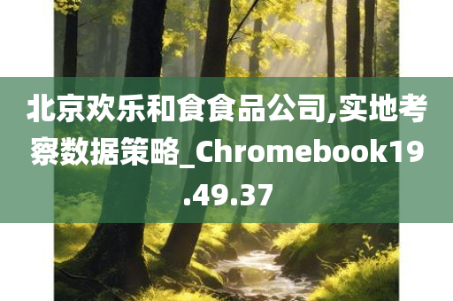 北京欢乐和食食品公司,实地考察数据策略_Chromebook19.49.37