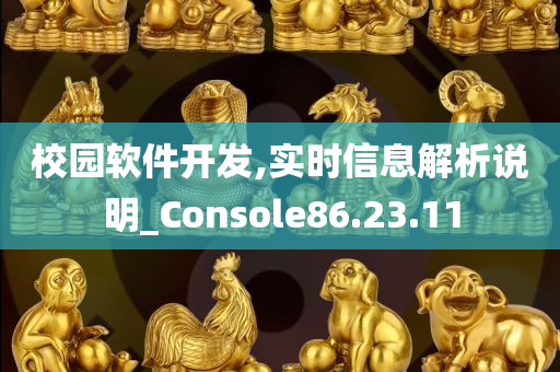 校园软件开发,实时信息解析说明_Console86.23.11