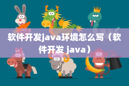 软件开发java环境怎么写（软件开发 java）