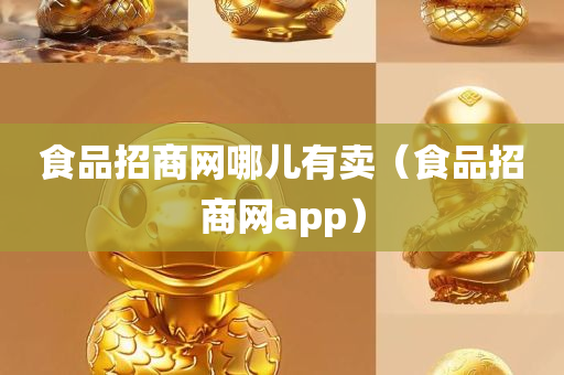 食品招商网哪儿有卖（食品招商网app）