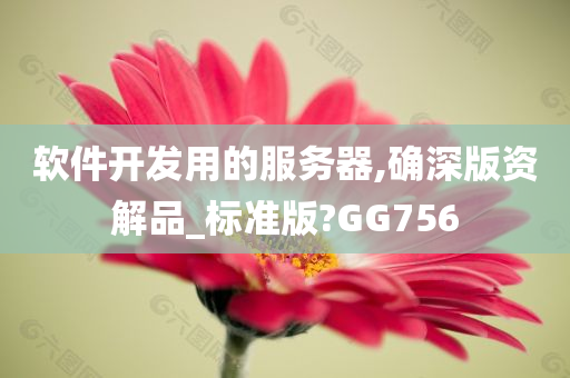 软件开发用的服务器,确深版资解品_标准版?GG756