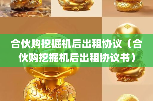 合伙购挖掘机后出租协议（合伙购挖掘机后出租协议书）